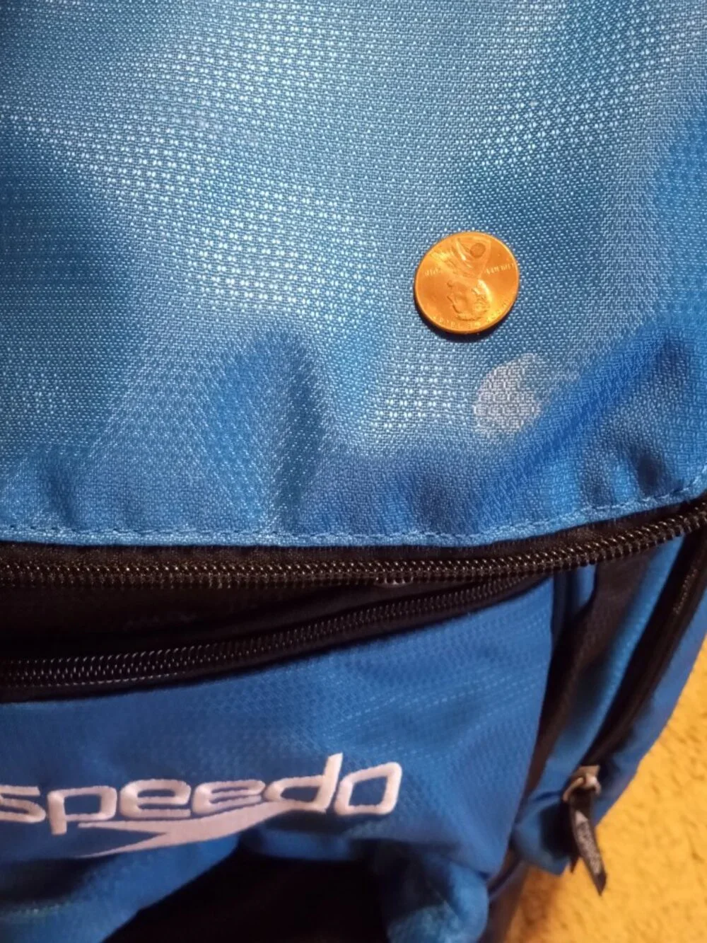 Speedo Teamster Large Swim Backpack with Dirt Wet Compartment - Blue